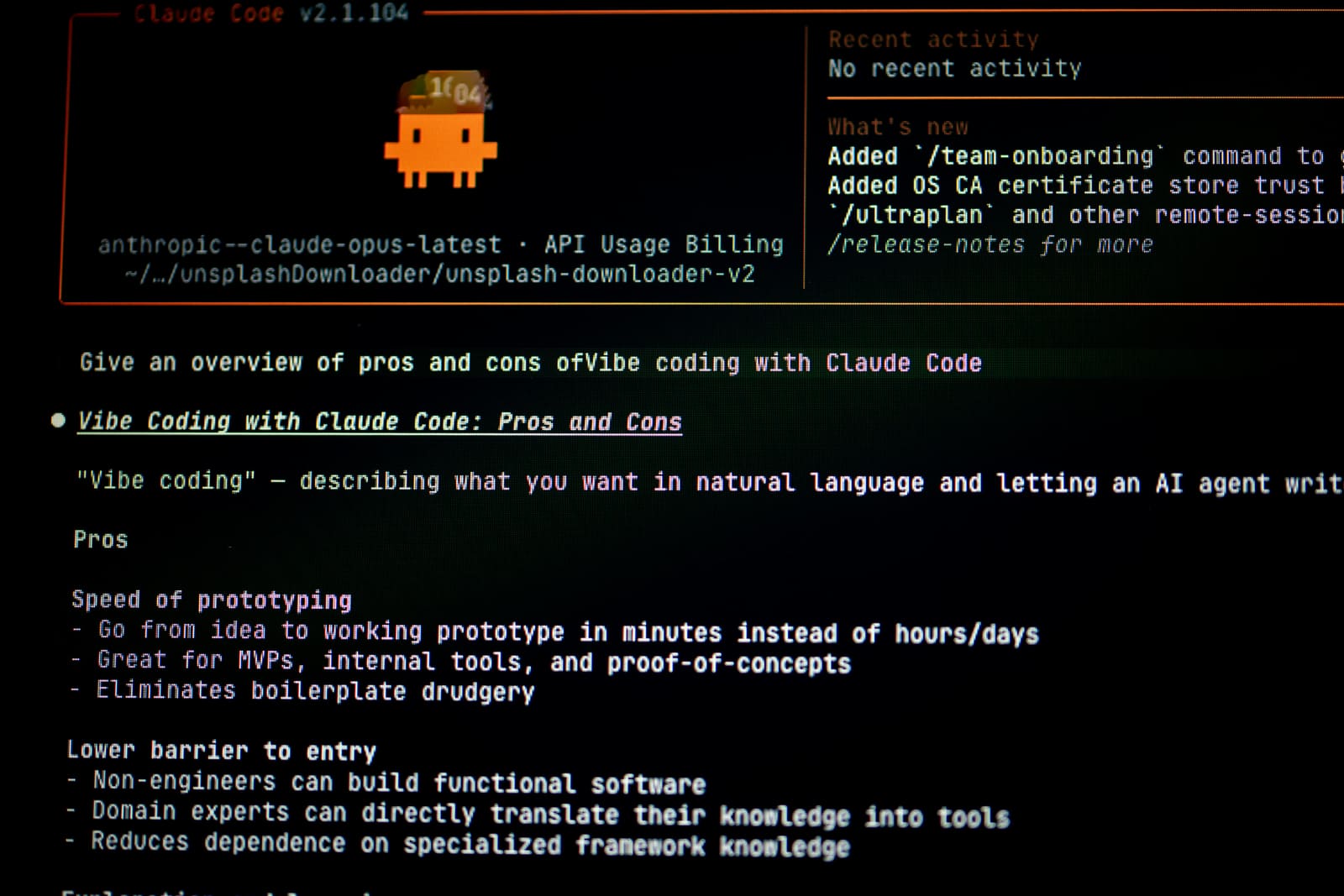 Claude Code in de terminal, met de vraag om een overzicht van de voor- en nadelen van vibe coding en het antwoord daarop