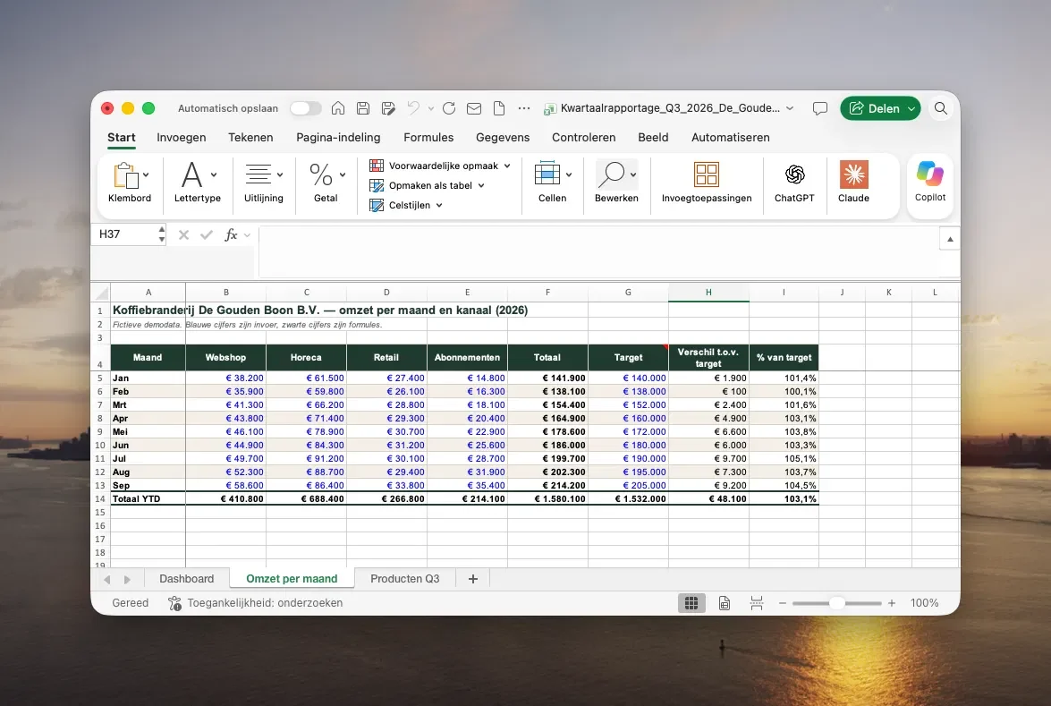 Excel-werkblad met de omzet per maand en kanaal van Koffiebranderij De Gouden Boon, met targets en verschil ten opzichte van target